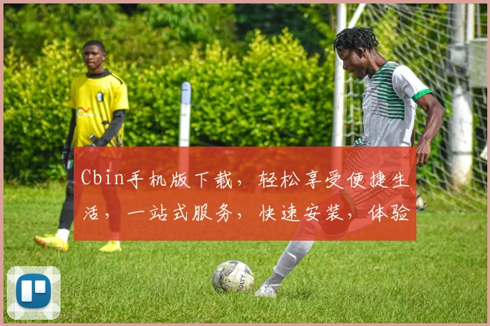Cbin手机版下载，轻松享受便捷生活，一站式服务，快速安装，体验最佳