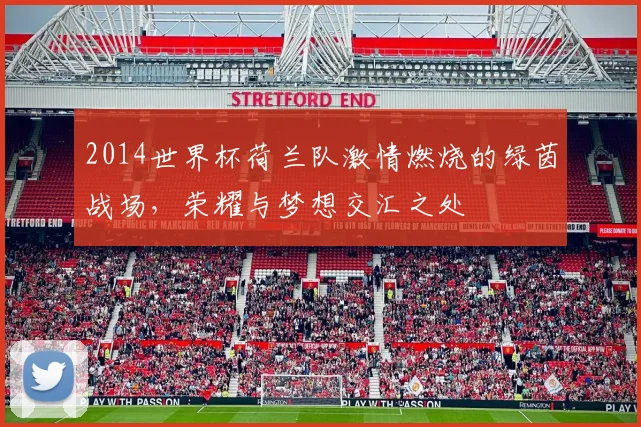 2014世界杯荷兰队激情燃烧的绿茵战场，荣耀与梦想交汇之处