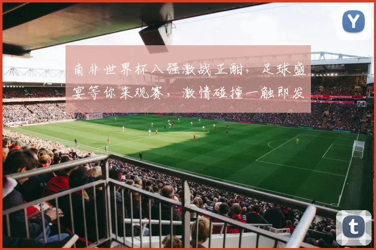 南非世界杯八强激战正酣，足球盛宴等你来观赛，激情碰撞一触即发