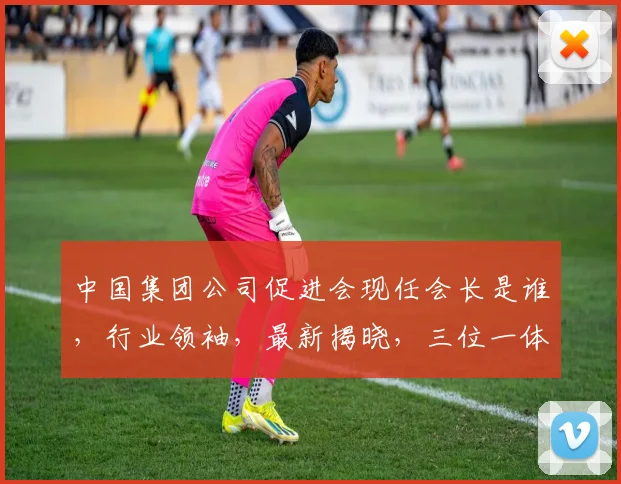 中国集团公司促进会现任会长是谁，行业领袖，最新揭晓，三位一体的权威人物